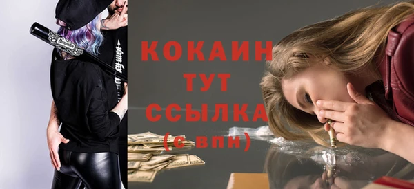 мяу мяу мука Белокуриха