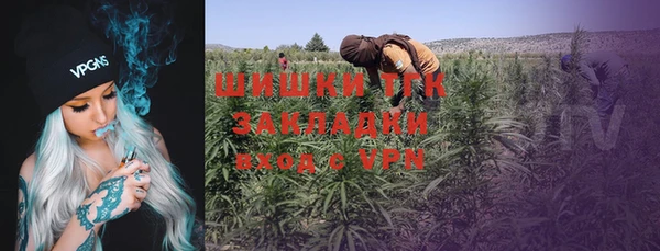 мяу мяу мука Белокуриха