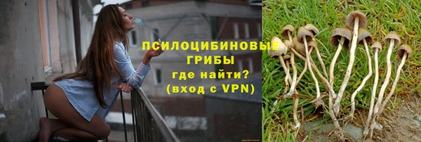 молекула духа Белоозёрский
