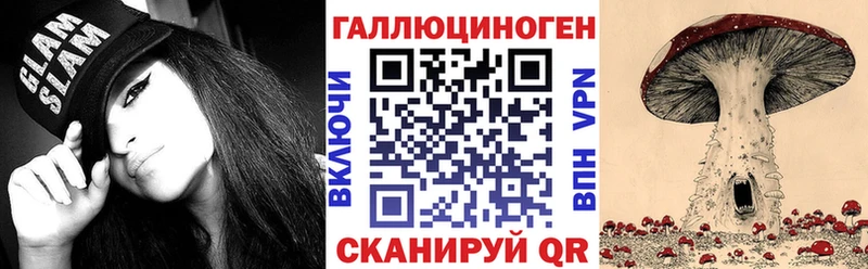 купить наркотики сайты  Купино  Галлюциногенные грибы Cubensis 
