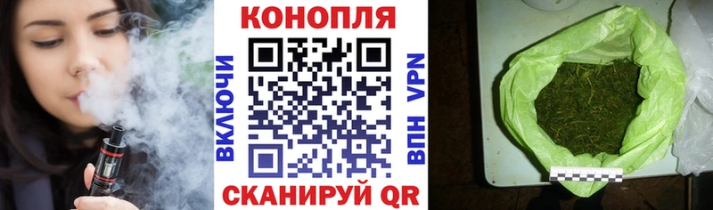 МАРИХУАНА план  Купино 